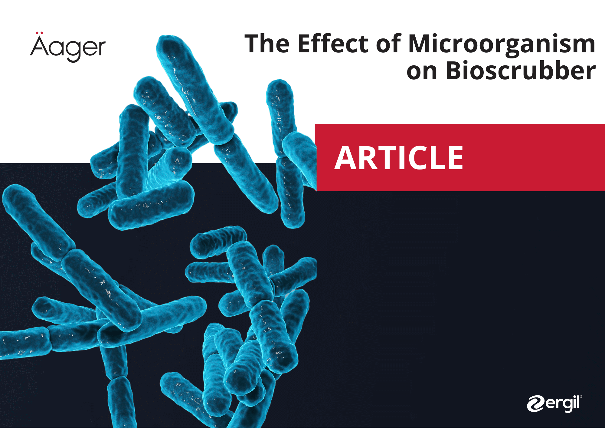 The effect of microorganism on bioscrubber 33